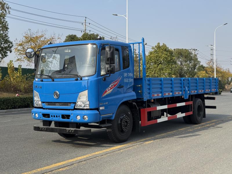 東風(fēng)天錦KS九米B2平頭大貨教練車(chē)