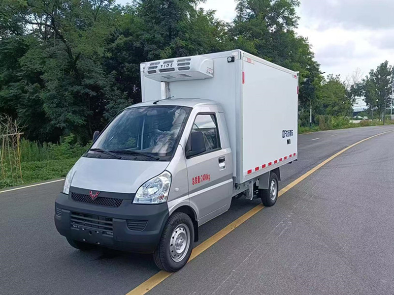 五菱小型电动冷藏车