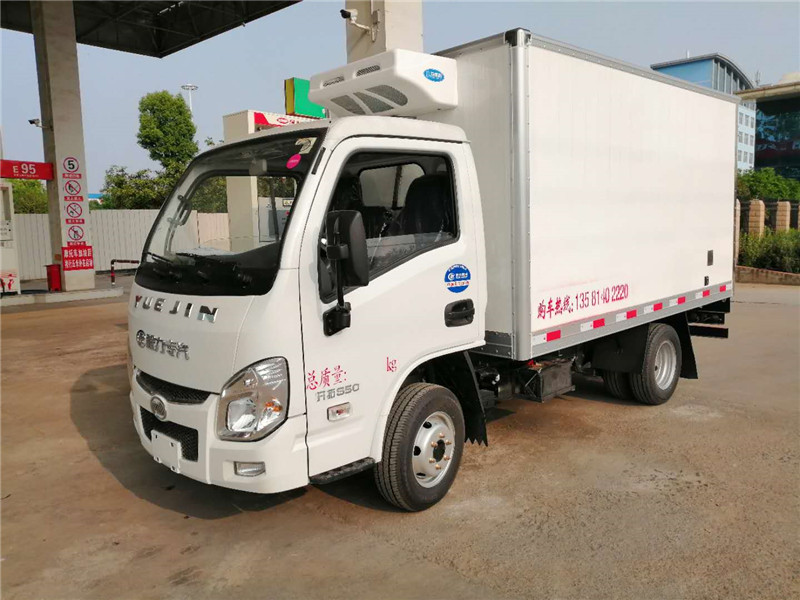 3.3米跃进小福星（后双轮）冷藏车