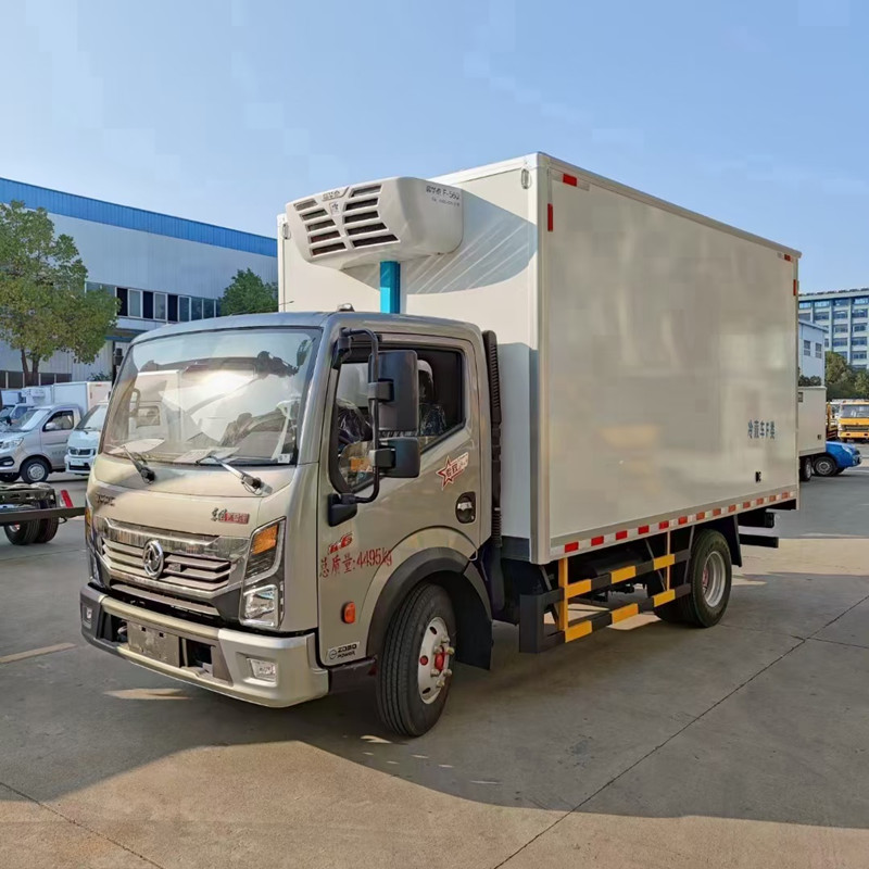 东风凯普特星云冷藏车4.2米